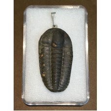 Přívěšek z trilobita